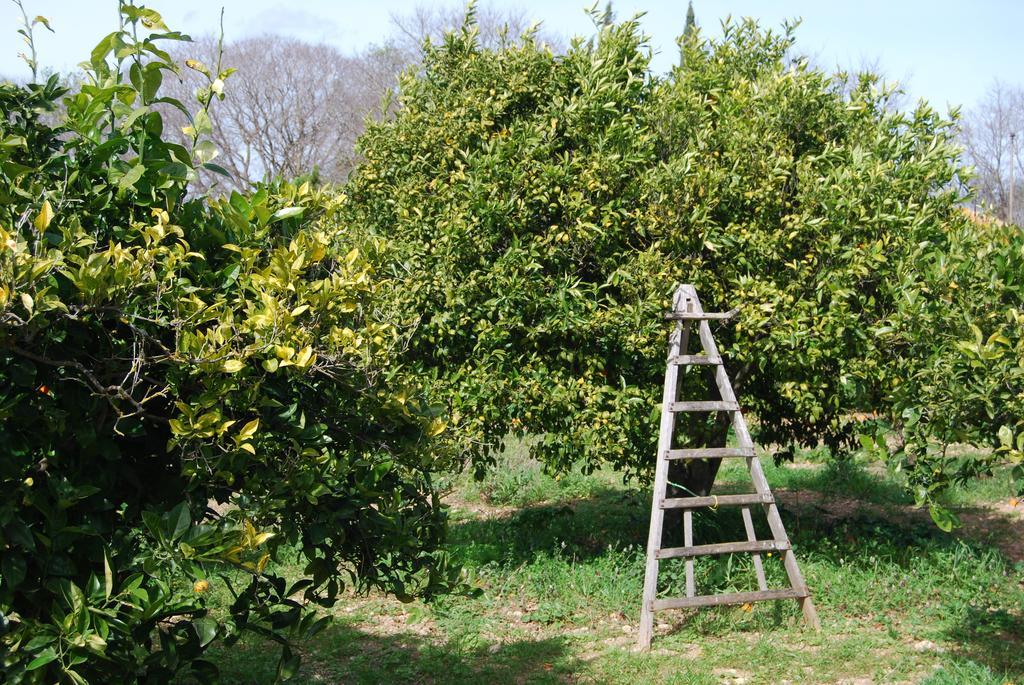 Finca Son Vivot Buitenkant foto