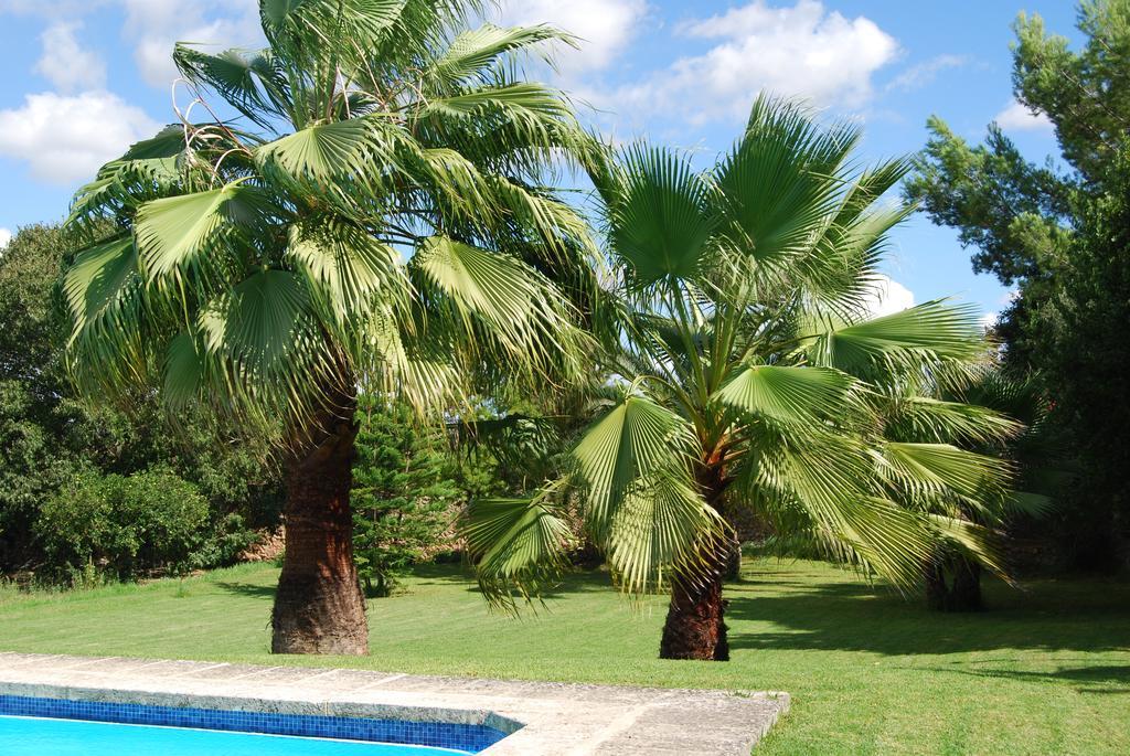 Finca Son Vivot Buitenkant foto