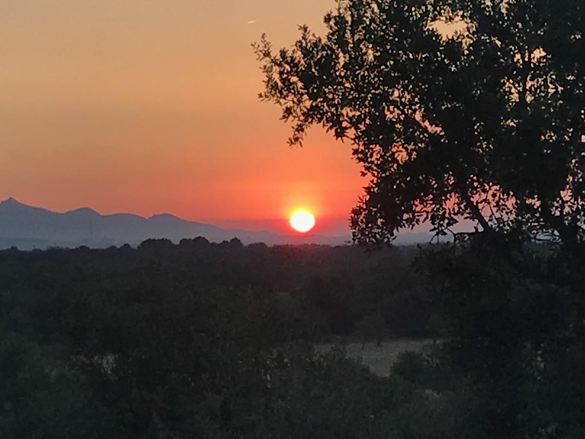 Finca Son Vivot Buitenkant foto